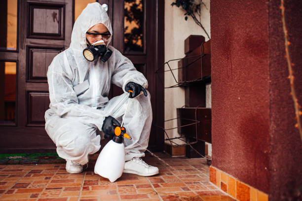 Reliable Bed Bug Control contractor in North Haledon, NJ by Nex Pest Control