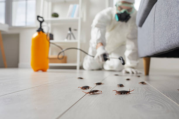 Trusted Termite Control service in North Haledon, NJ - Nex Pest Control
