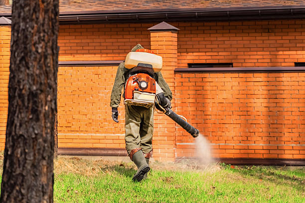 Trusted Bed Bug Control service in North Haledon, NJ - Nex Pest Control